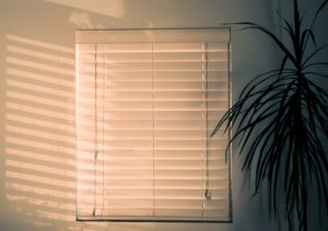 window blind